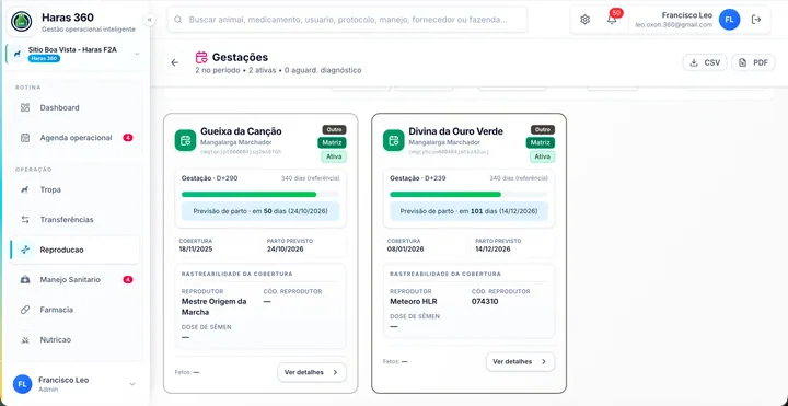 Acompanhamento individual de gestações
