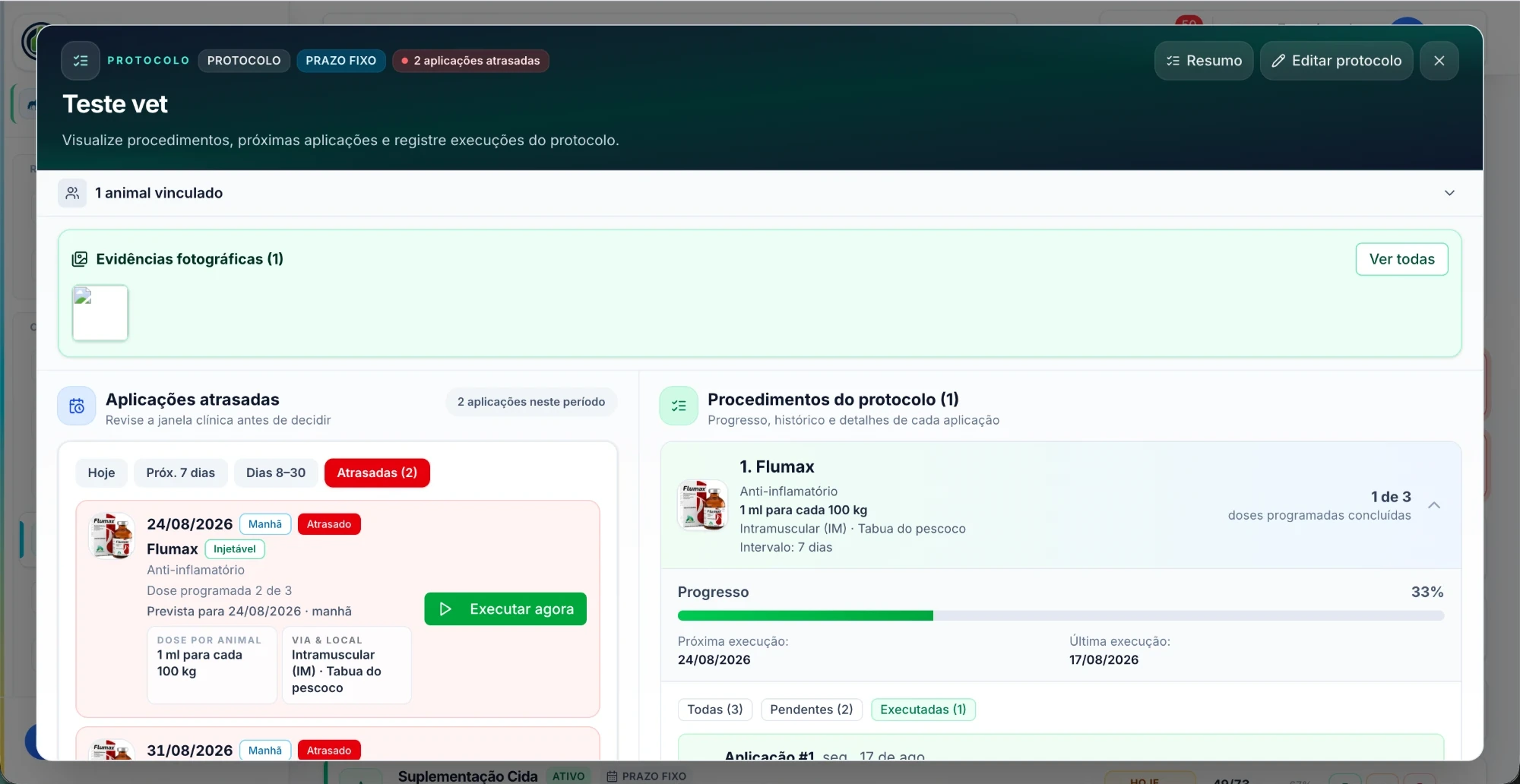 Tela do Rebanho 360: detalhe de protocolo e aplicações.