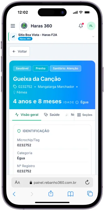 Ficha de Gueixa da Canção